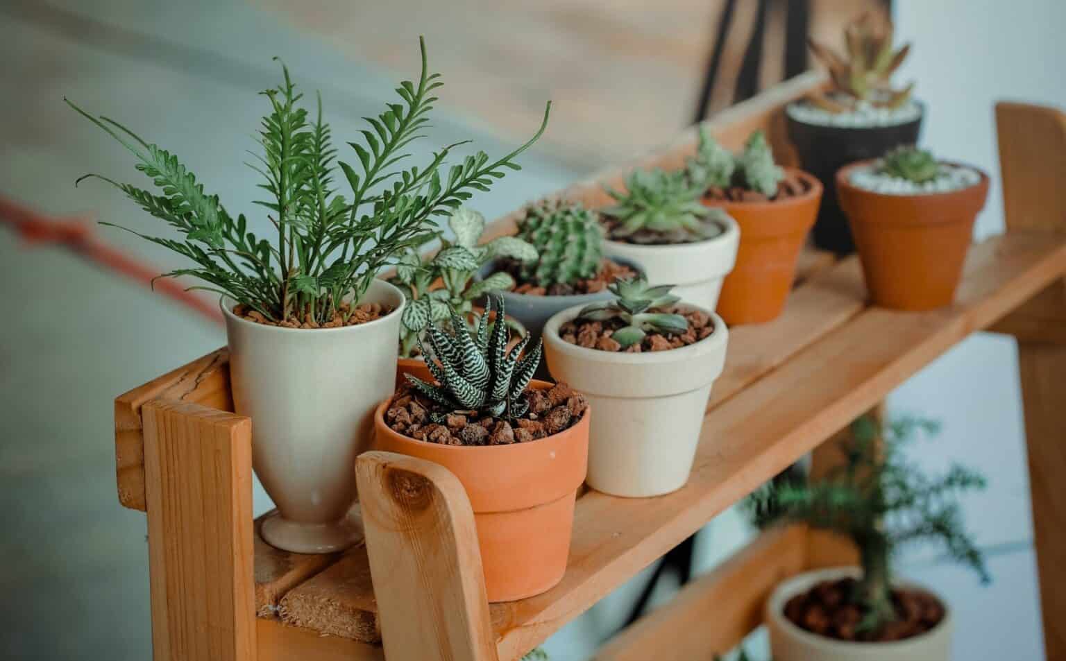 MidAtlantic Nursery Trade Show 2024 Dates The Trade Group
